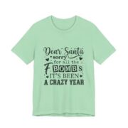Dear Santa Sorry For All The F Bombs T-Shirt in Mint